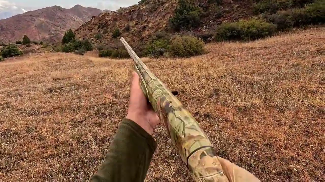 2025 yılı tavşan ve keklik avı sezon a&ccedil;ılışı #Erzurum #hunting #doğa #avcılık #camping #sports #2026
