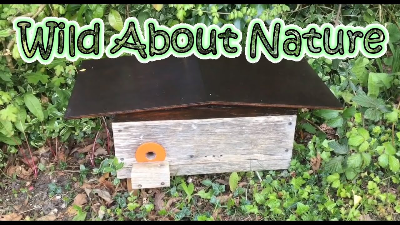 How To Make A DIY Bumble Bee Nest - All Or Nothing! :)