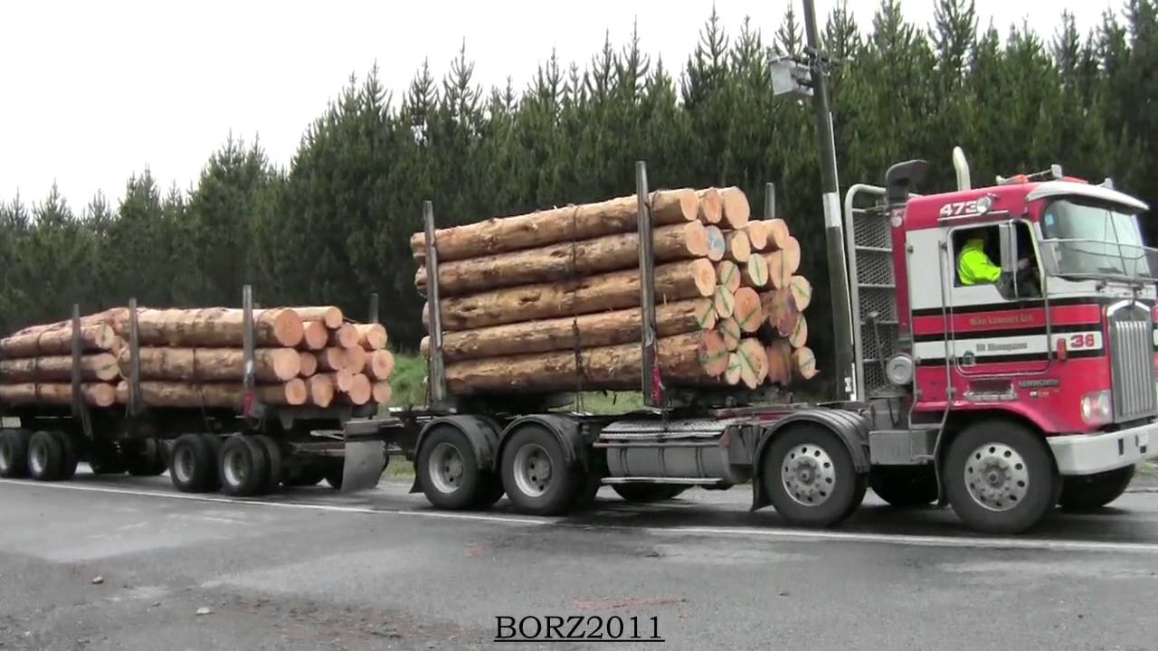 The WEBB and Tar Hill video 2011.