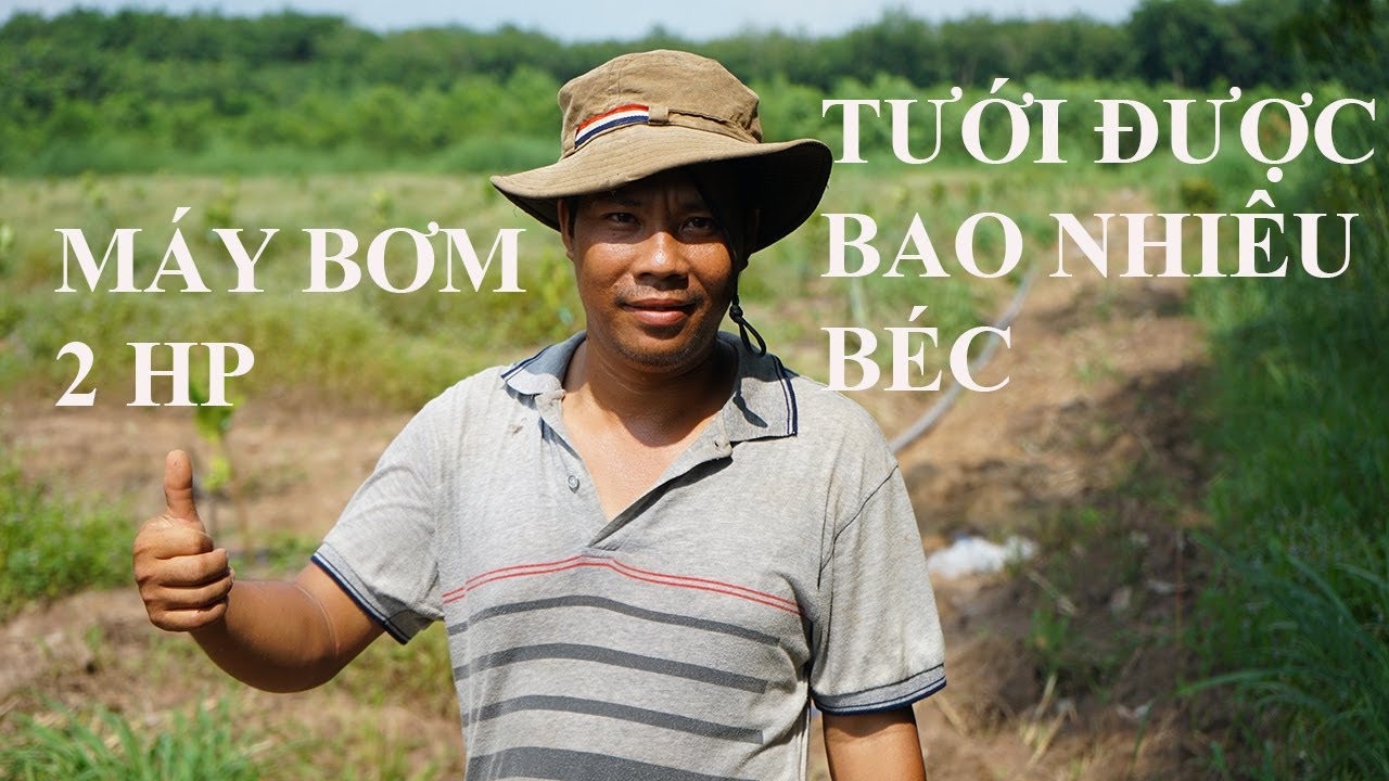 Hướng dẫn xác định máy bơm tưới được bao nhiêu béc tưới gốc VP3 Plus - VNPLANT