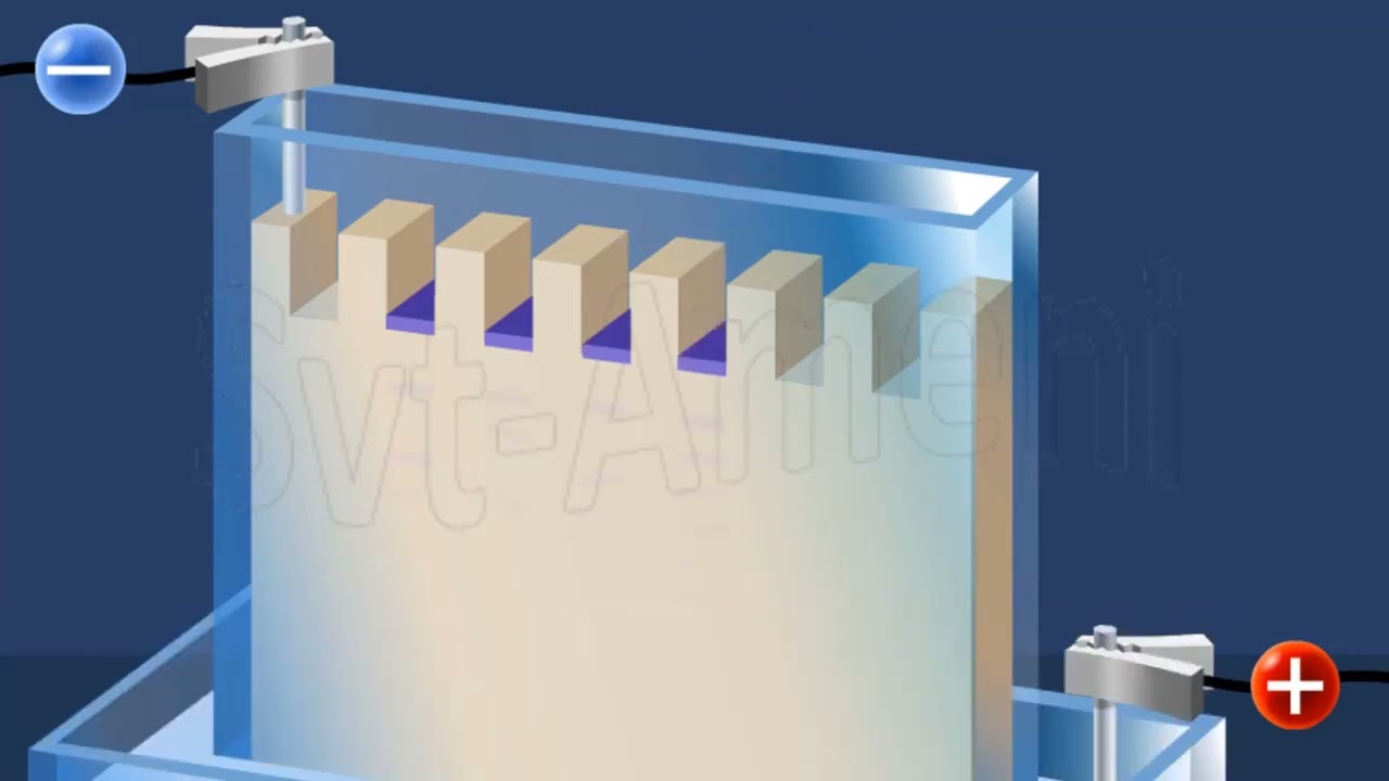 Electrophorèse sur gel -partie 1 - SV- Chapitre 3 - Document 4