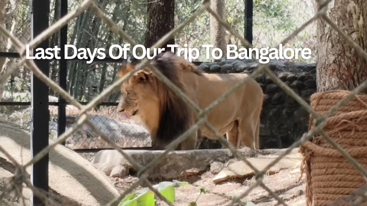 Visited Banglores Zoo.
