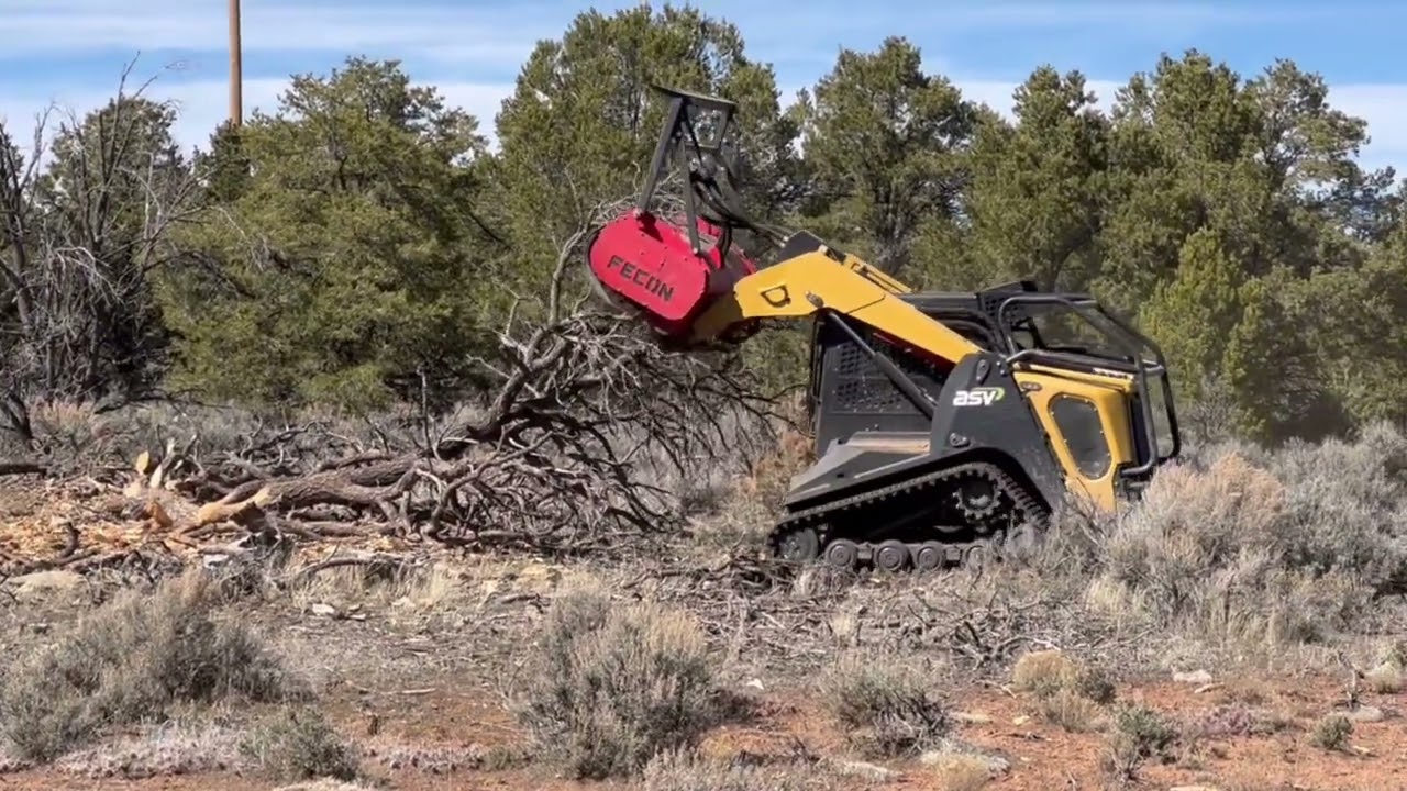 Fire Mitigation Project in Glade Park, CO