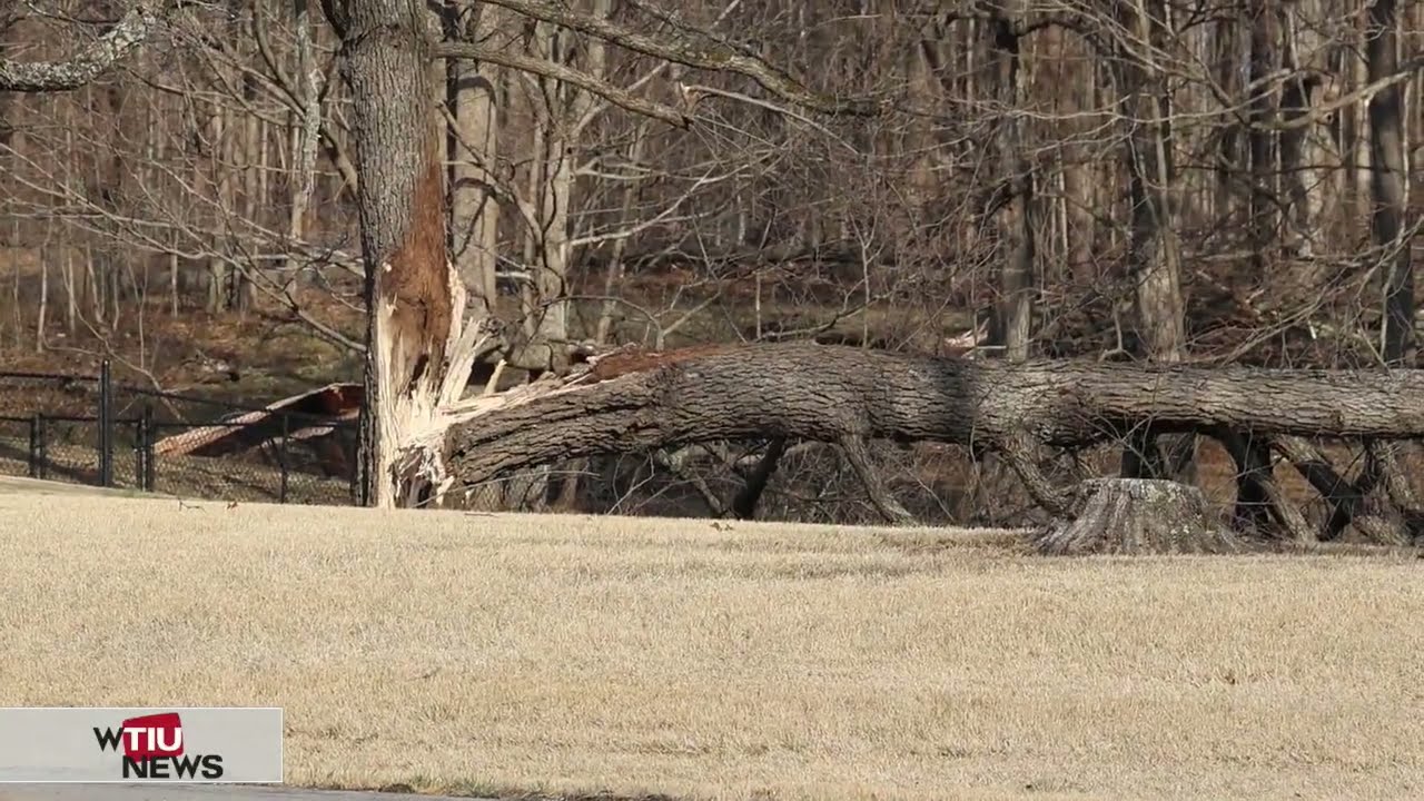 Hopewell Neighborhood Ordinance Issues, Musical Arts Center Upgrades, Monroe County Tornado Debris