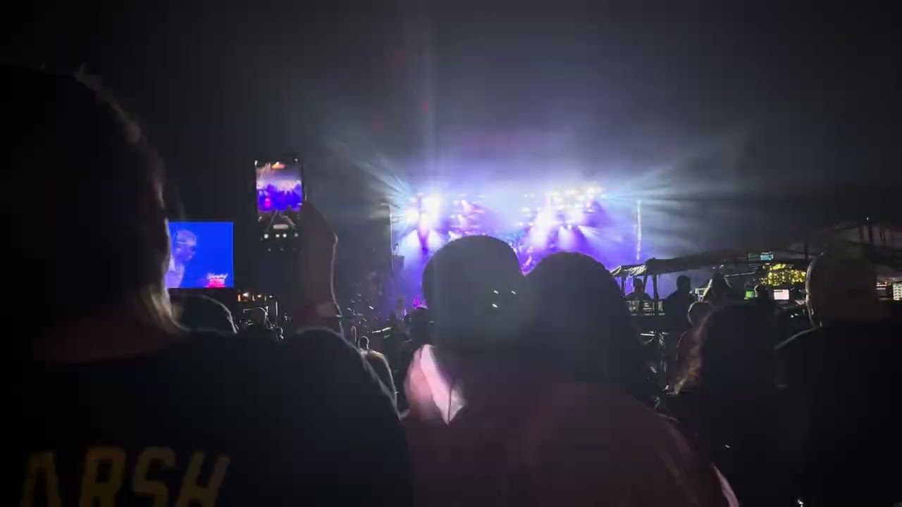 Nelly - Dilemma Live at Musikfest