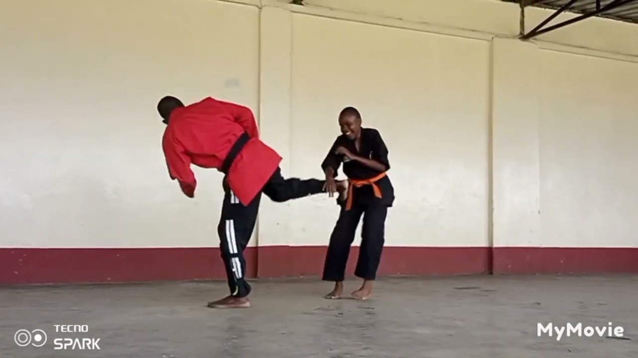 st John's school. Neema oasis school and Ken kenpo karate academy ILKSF Kenya 🇰🇪🇪🇦🇺🇲
