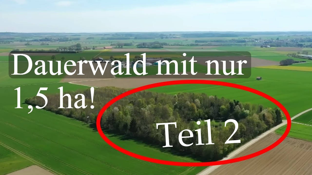 Lohnt sich der Dauerwald für Kleinwaldbesitzer?
