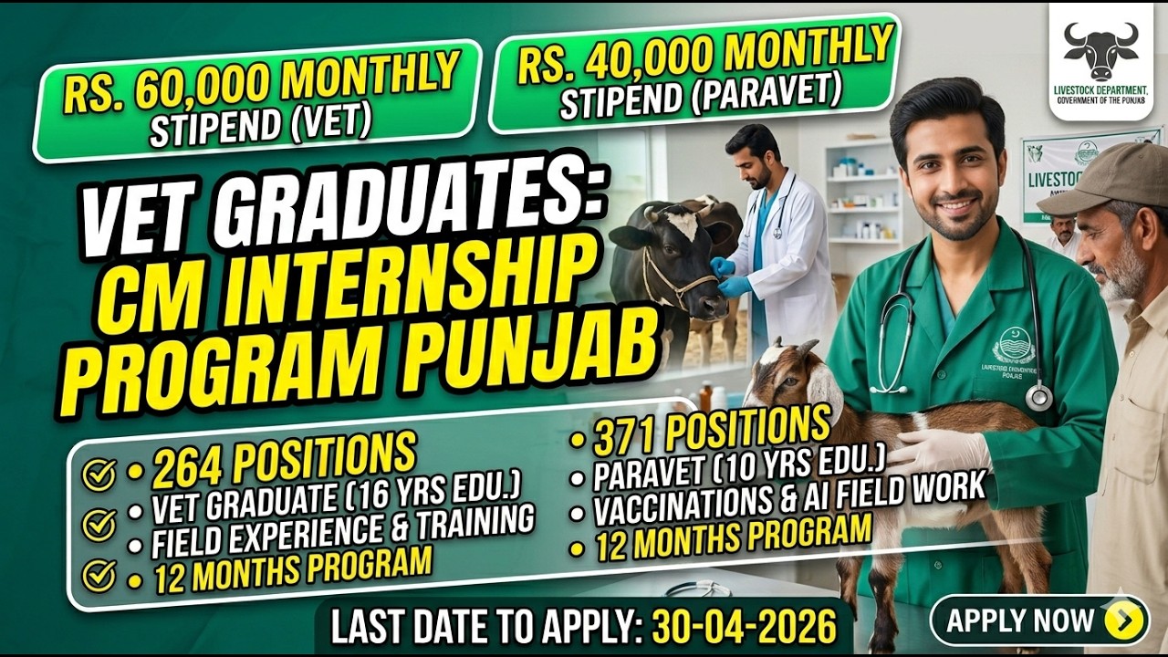 CM Punjab Internship Program 2026 | 12 Months Paid | Apply Now