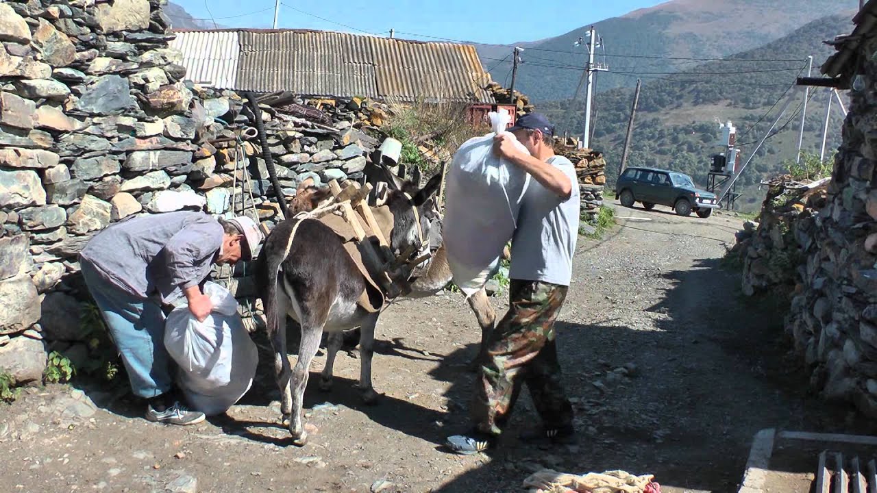 Mount Kazbek North Face!