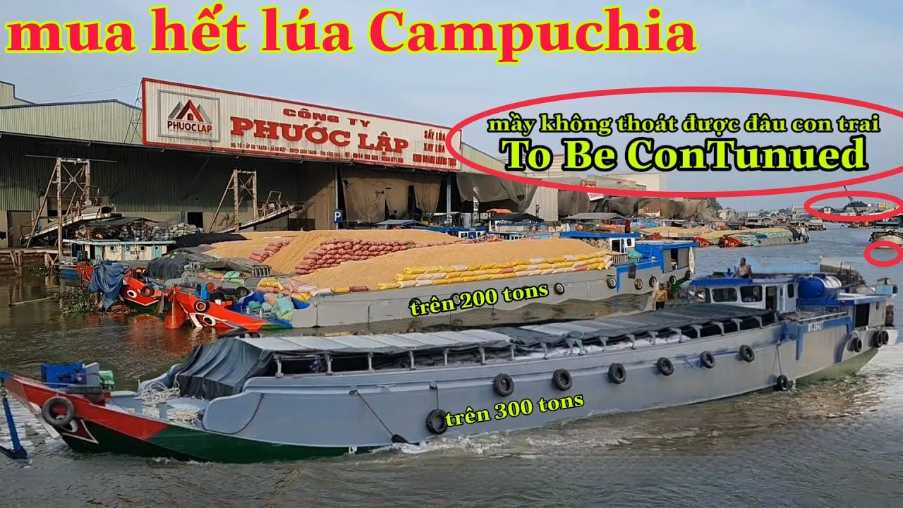# 213 Võ Lãi Và Ghe Sắt Đời Mới Mỗi Chiếc Vài Trăm Tấn Chở Hết Lúa Cam
