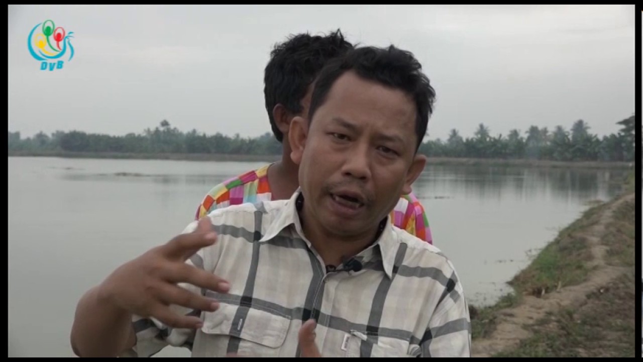 DVB TV - ငါးမွေးမြူရေးလုပ်ငန်းများနဲ့ တို့ခေတ်လယ်ယာ