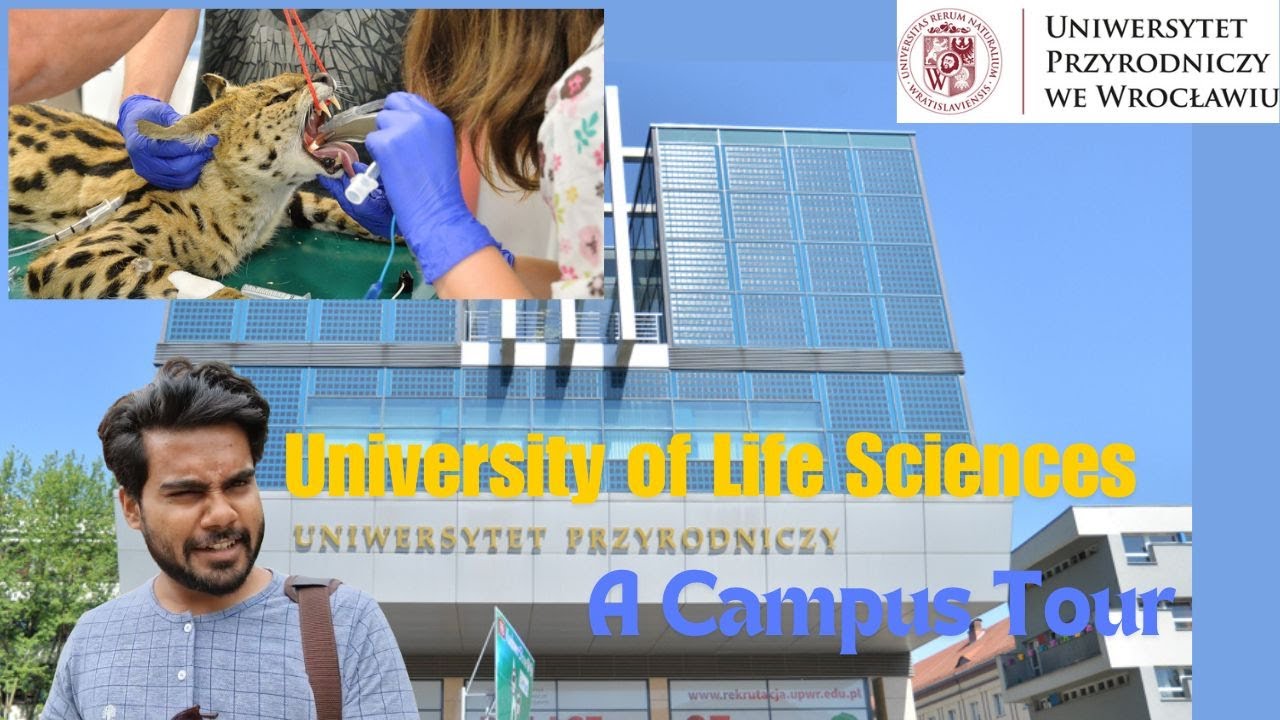 University of Life Sciences in Wroclaw - Campus Tour | Uniwersytet Przyrodniczy we Wrocławiu | 2024