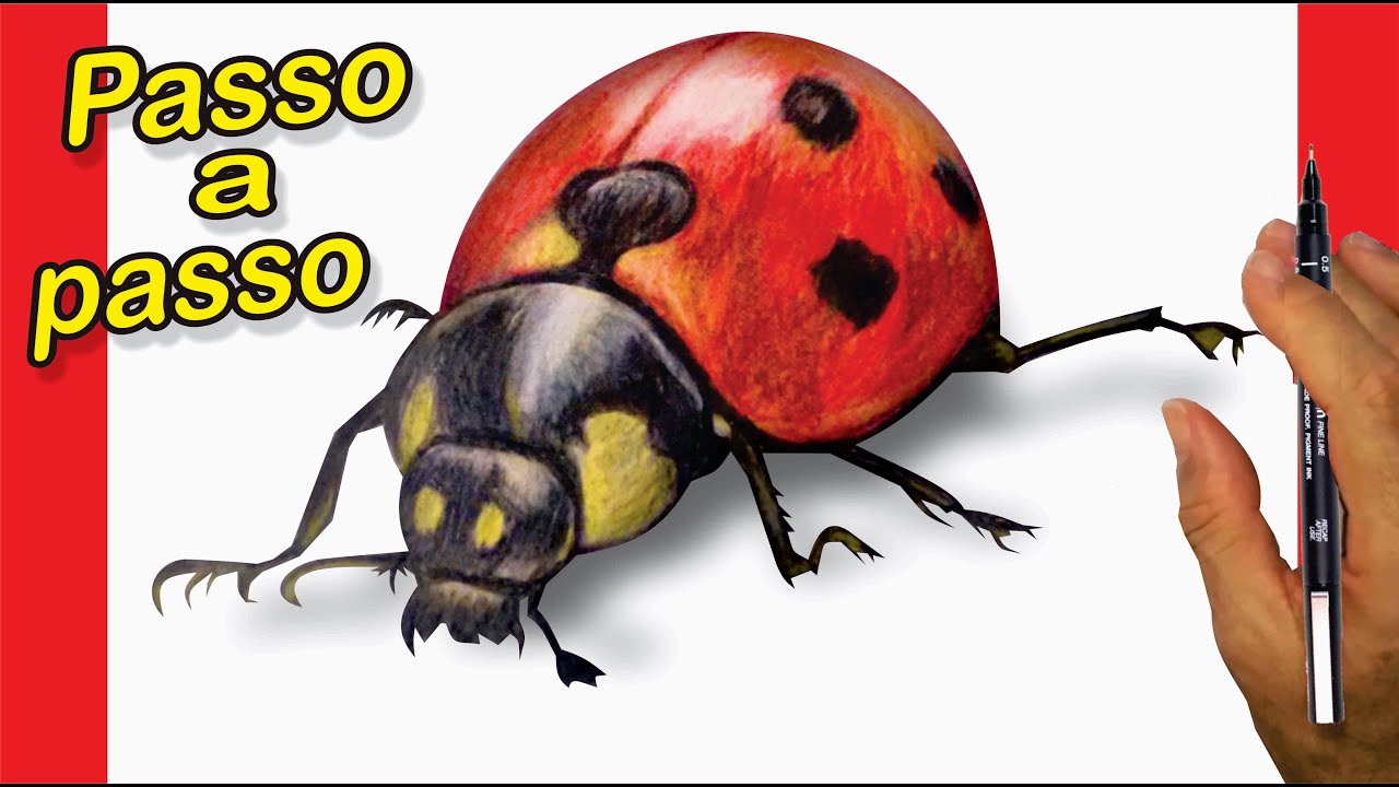 Como DESENHAR uma JOANINHA | Aprenda a desenhar uma joaninha