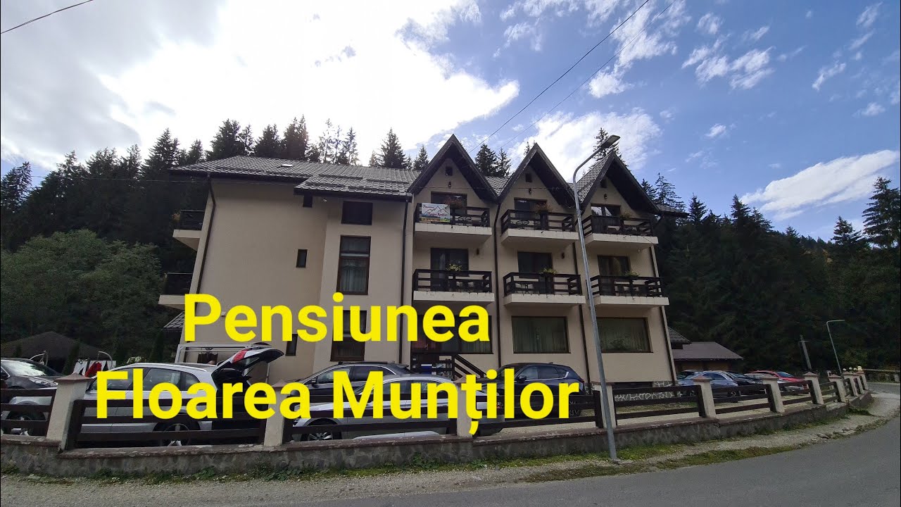 Pensiunea Floarea Munților din Moieciu de Sus