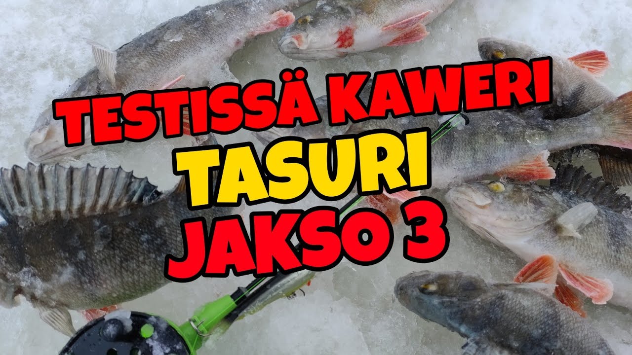 Pottu pilkkii 2021- jakso 3- testissä kaweri tasuri