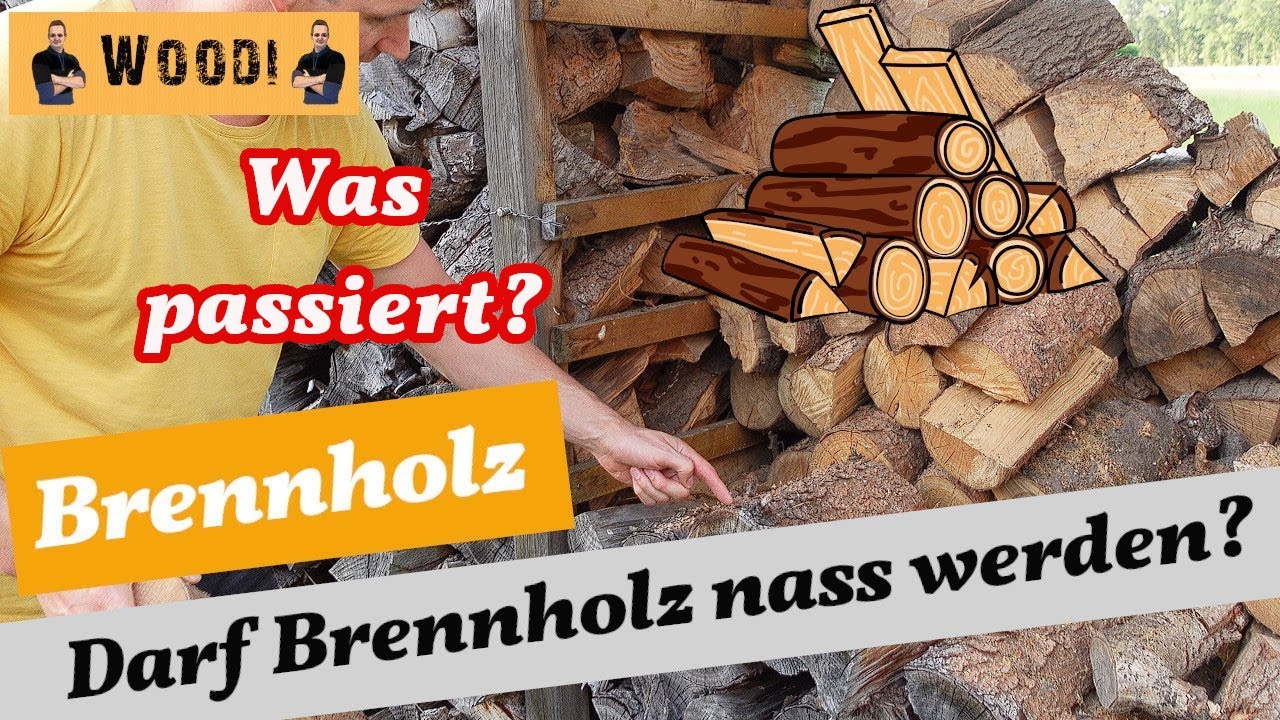 Brennholz - Darf Brennholz nass werden? Richtige Lagerung - Feuchtigkeit - Woodi