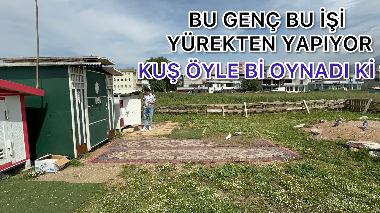 MARDİNLİ GENÇ ÖYLE Bİ KUŞ UÇURDU Kİ BÜYÜKLERE MEYDAN OKUDU
