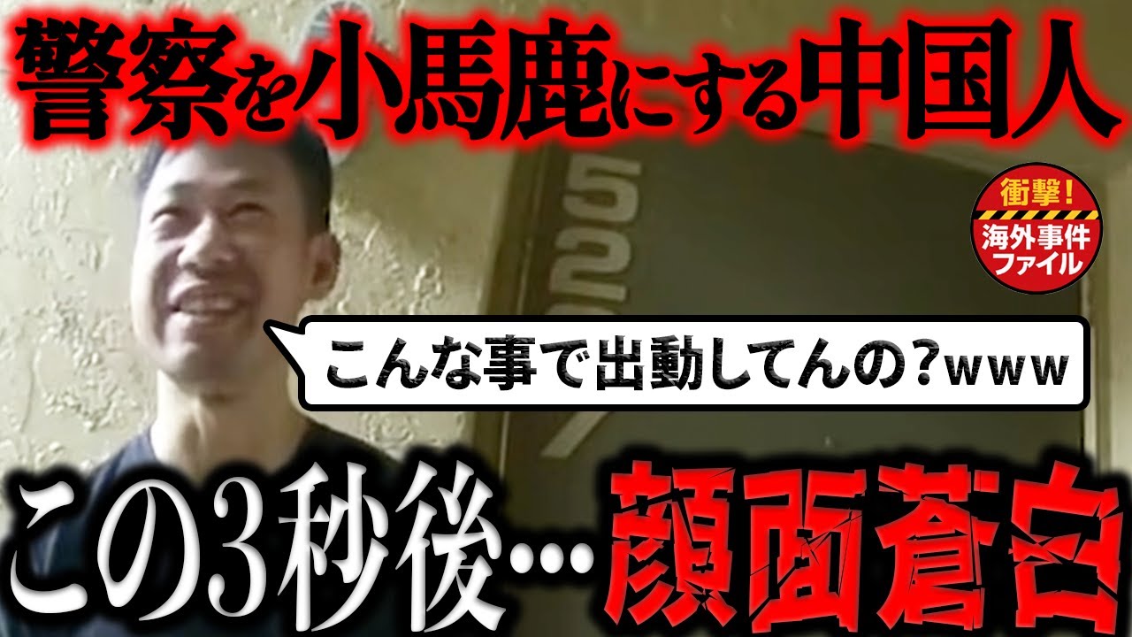 よく人のことバカにできるよね【衝撃！海外事件ファイル】