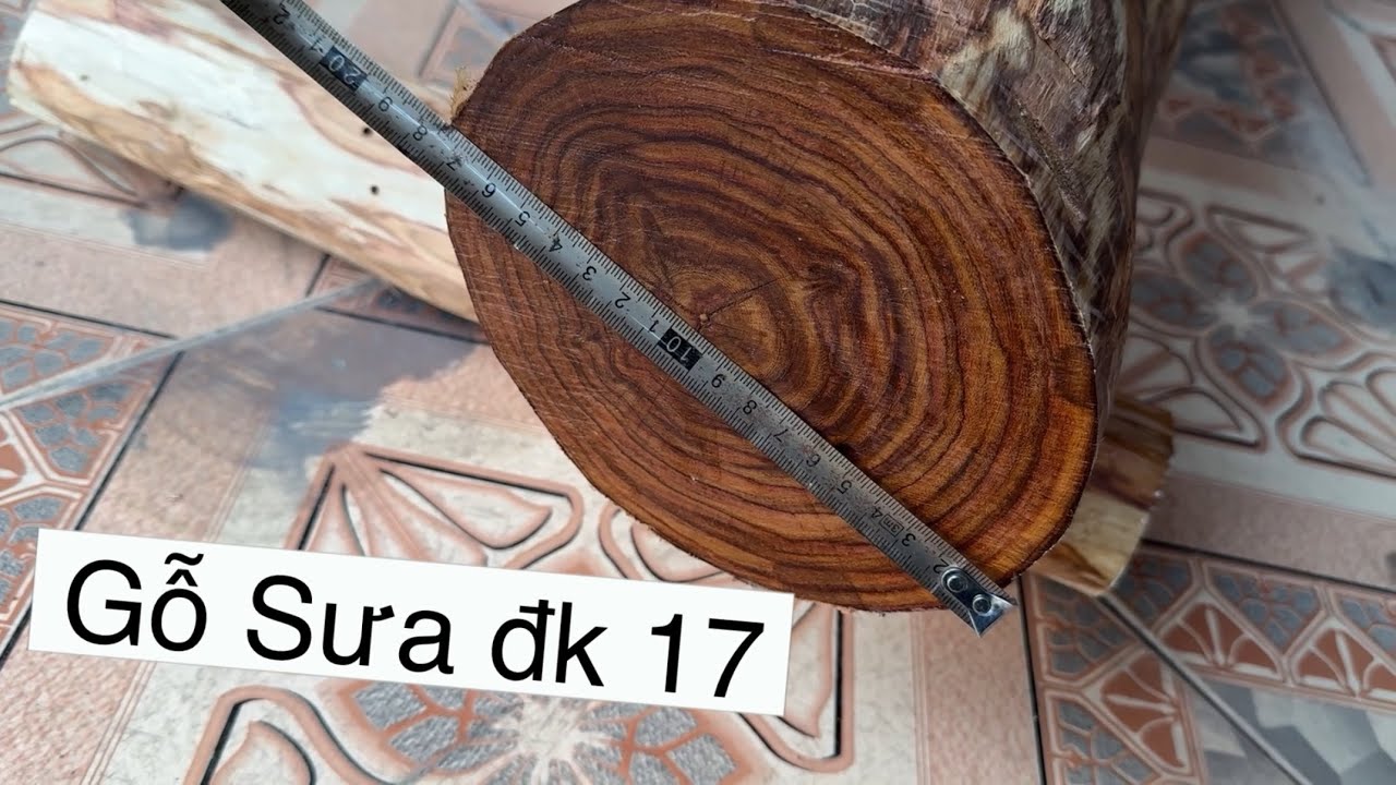 Cành Ngọn Gỗ Sưa Đk 17cm Vân Chỉ Nhỏ Rõ - Gỗ Sưa Có Mùi Thơm Nhẹ Nhàng Sang Trọng - Gỗ Sưa Đỏ VN