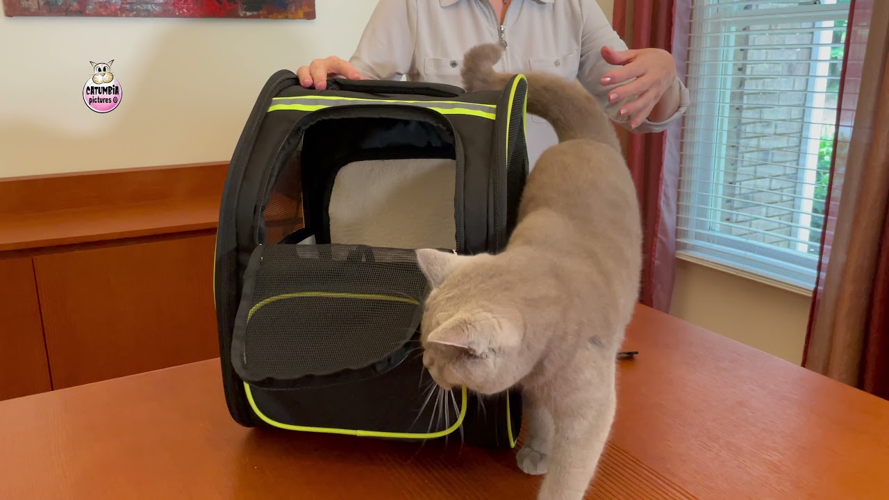 Expandable Travel Cat Carrier Backpack for cats and dogs up to 14 pounds, designed by JOYO.