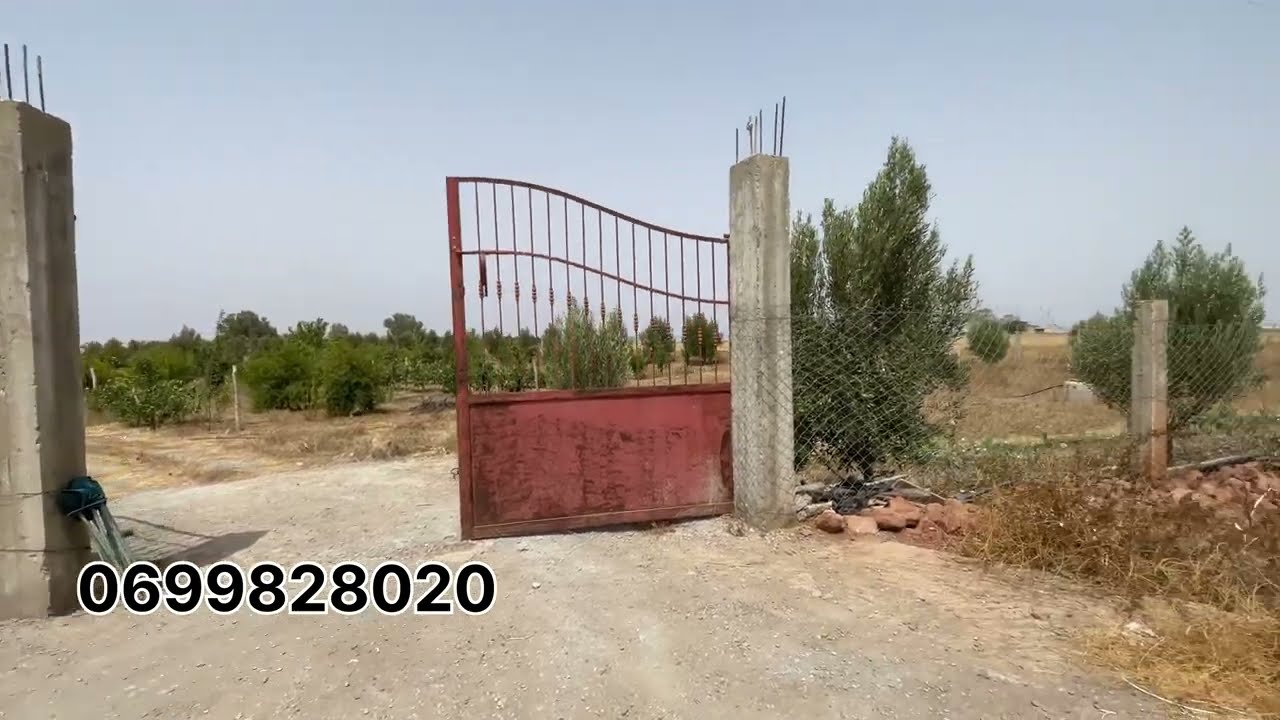 لي بغا فيرمة صغيرة ‼️و على الطريق 4كم على بنسليمان📍 مشجرة مزيان الماء موجود🔥 و الأرض مربعة و محفظة✨