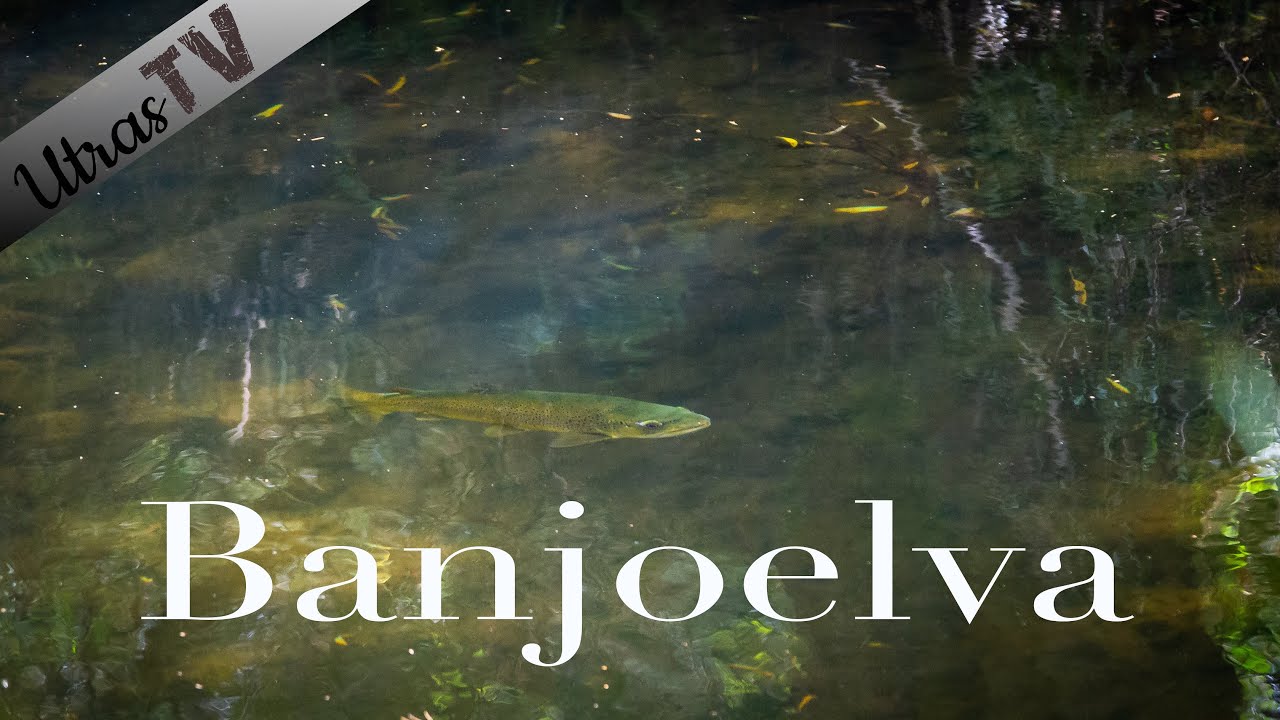 Fra Snøkov til Paradis. Episode 5: Banjoelva