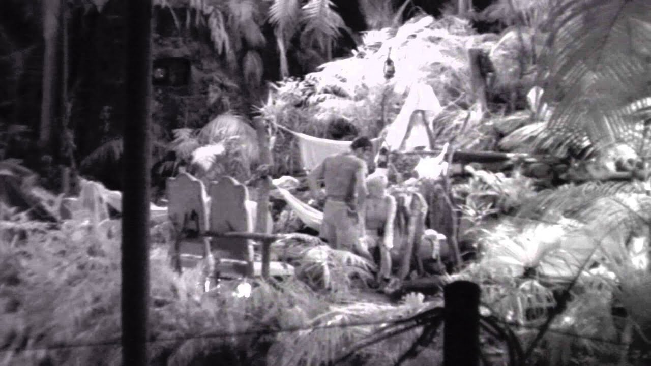 Lil Willie Go's Red With Rage | I'm a Celebrity Get Me Out Of Here!