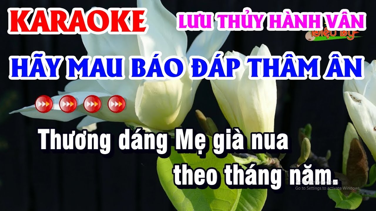 Karaoke Hãy Mau Báo Đáp Thâm Ân | Lưu Thủy Hành Vân - Karaoke Điệu Lý