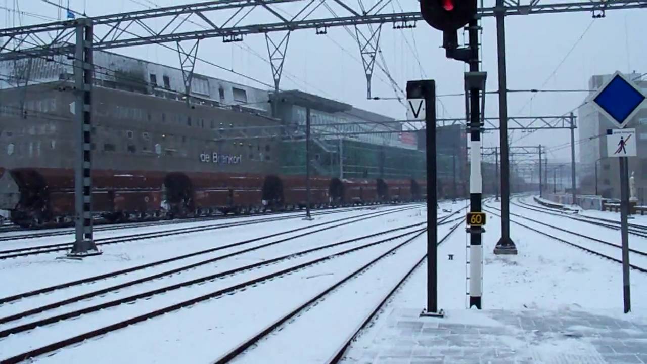 Ertstrein strandt in Eindhoven