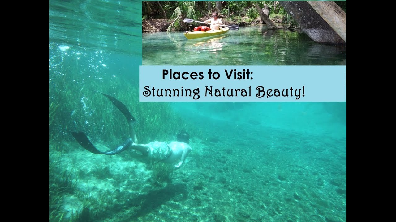Epic Natural Beauty! Sailing Destination: Crystal River & Inland to Rainbow River