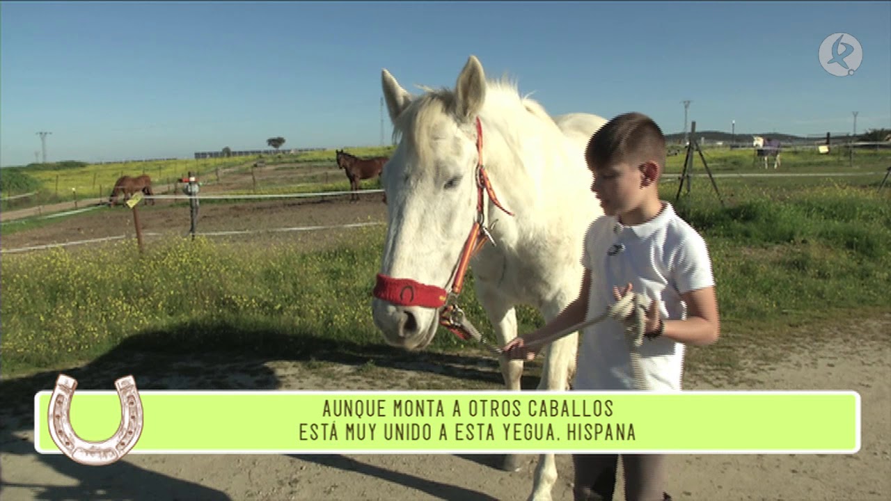 Joaquín quiere ser jinete olímpico | Extremadura galopa