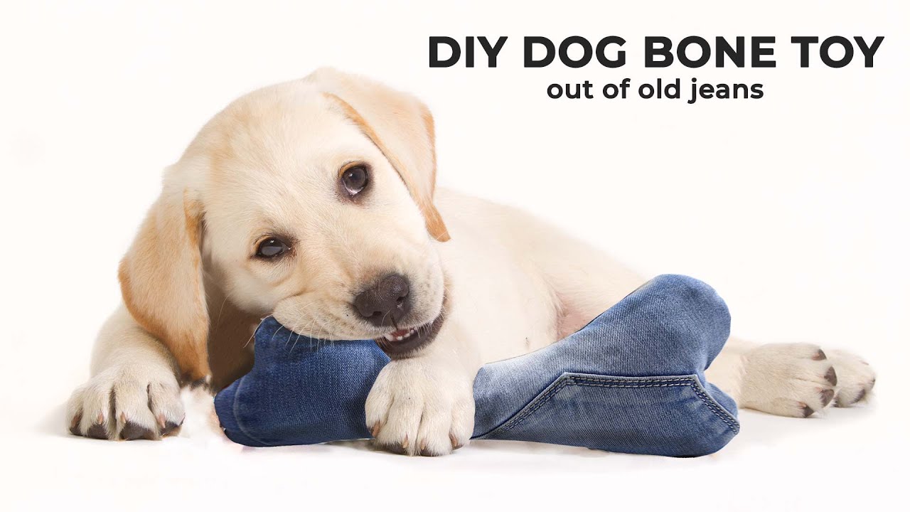 DIY dog bone toy // Easy Dog Toy with Free Pattern