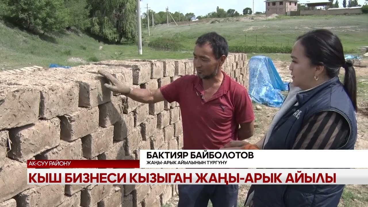 Кыш бизнеси кызыган Жаңы-Арык айылы