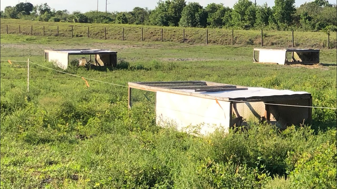 Pasture Project - Starting Point