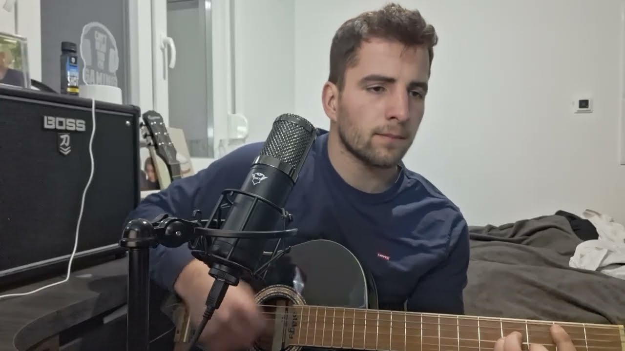 Her Eyes - Dino Rakic (Original Song)