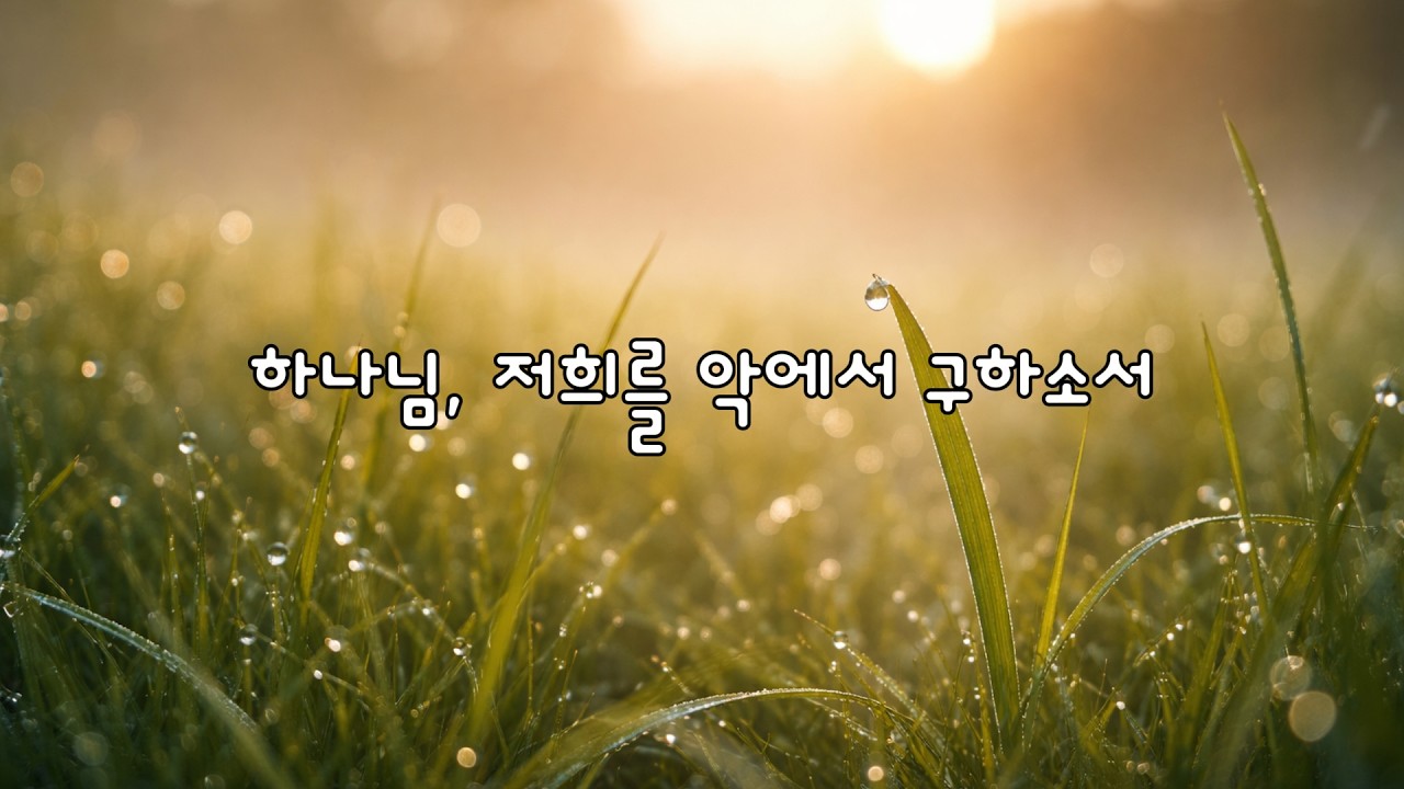 주님의 빛 가운데 - 깊은 찬양 연주 | 기도와 묵상