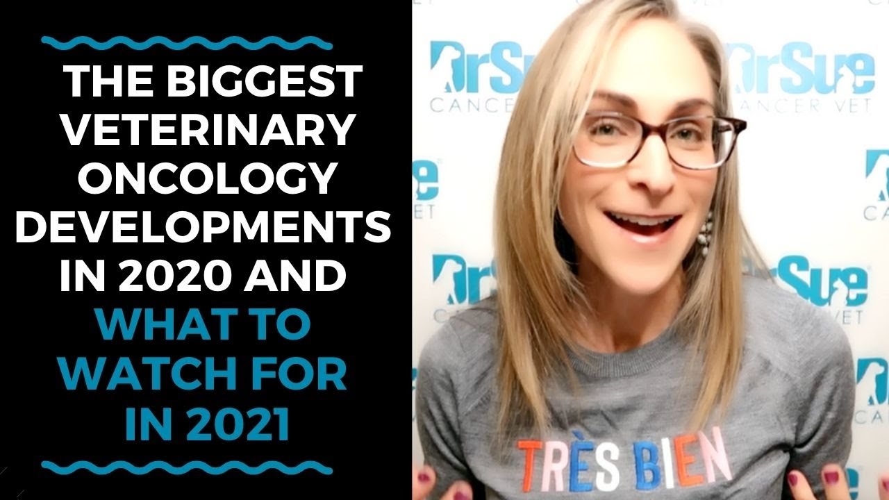 The Biggest Veterinary Oncology Developments in 2020 and What To Watch For in 2021 VLOG 127