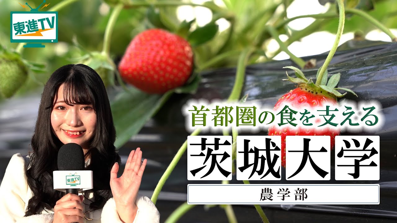 茨城大学農学部｜霞ヶ浦から世界へ！SDGsに挑む最先端の農学研究！ #茨城大学 #農学部