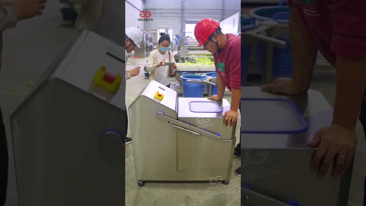 Fresh Cut Salad Processing Line #machine #processingequipment