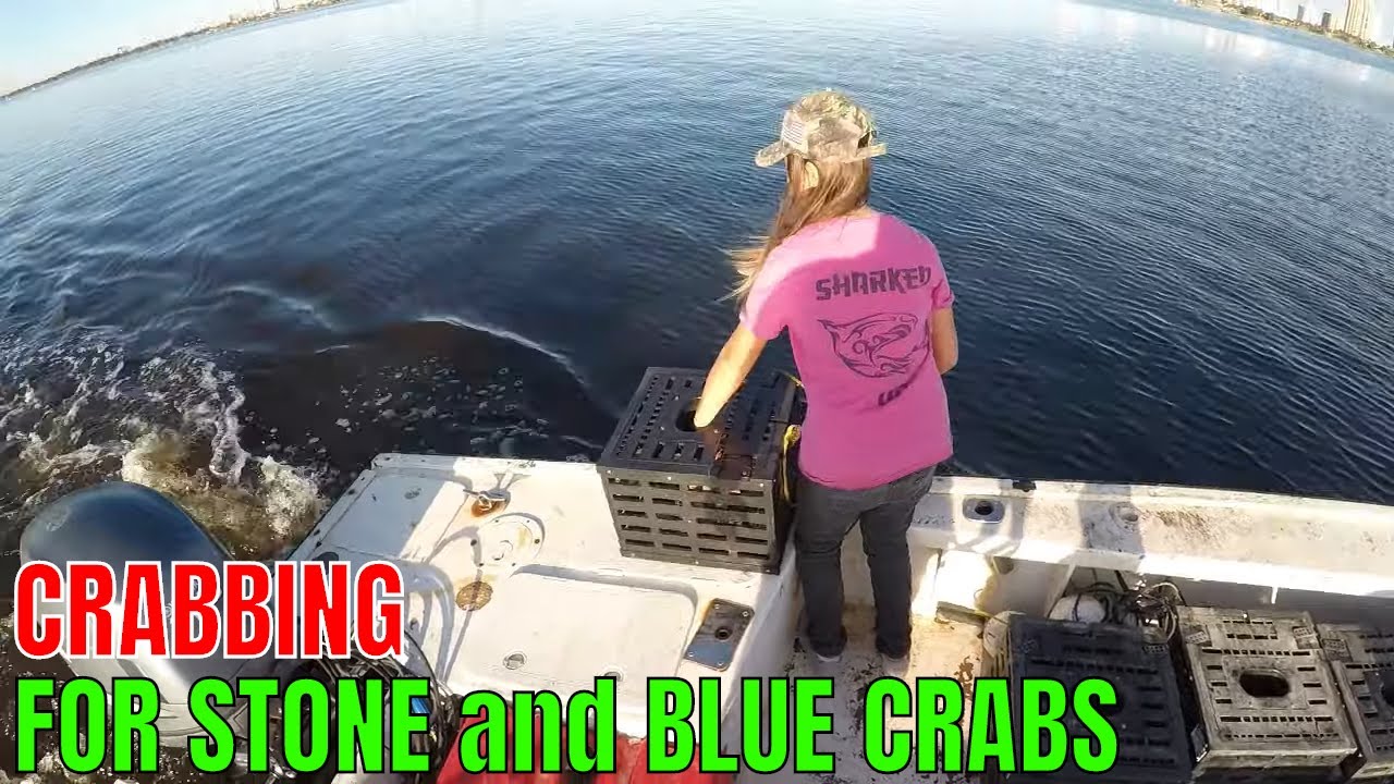 SETTING and PULLING STONE CRAB TRAPS and RUNNING THE BLUE CRAB TRAPS