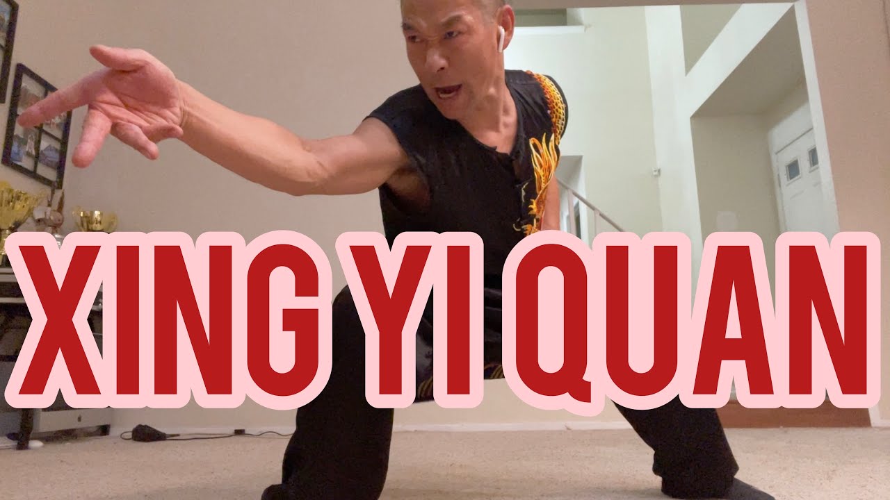 XING YI QUAN 5 elements in application  / lesson 6 , 形意拳技击与用法