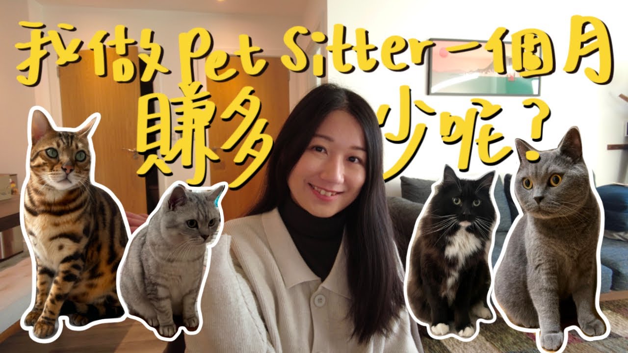 當貓保姆一個月，到底可以賺多少？Pet sitting真實收入細節大公開【英國貓咪寵物保姆】#2025英國副業收入