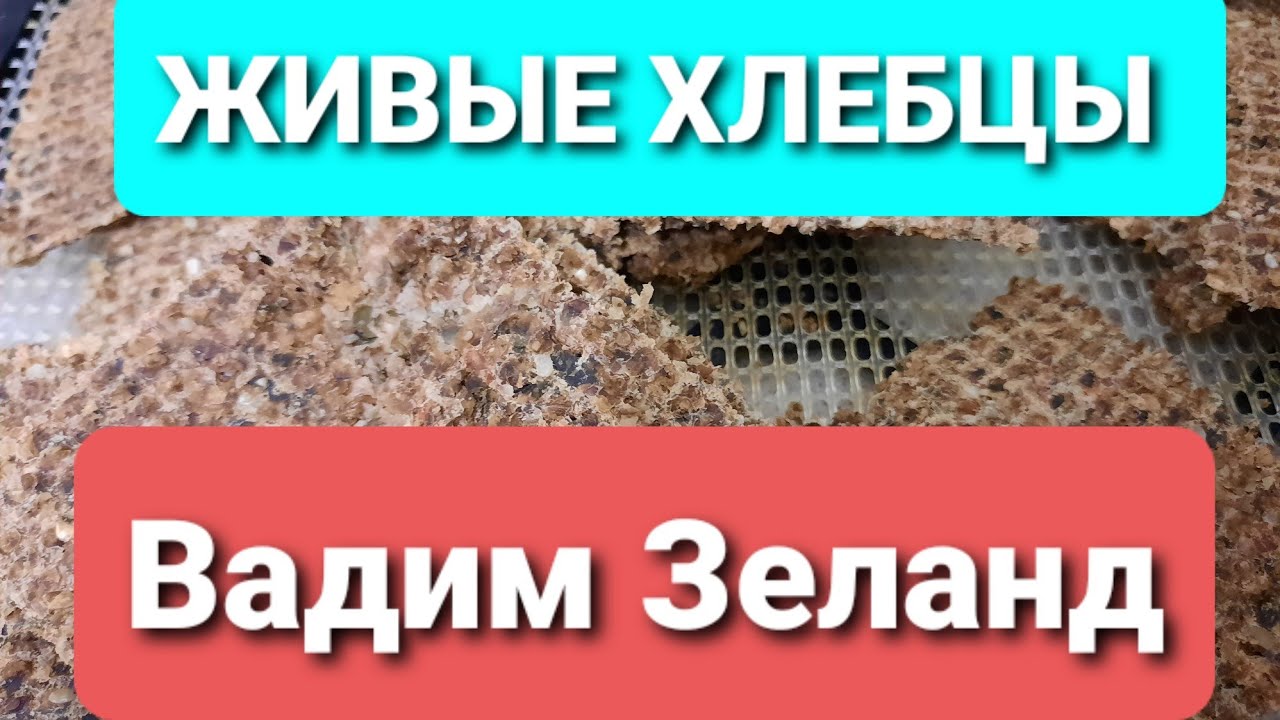 Живые хлебцы. Рецепт Вадима Зеланда. Трансерфинг обновления.