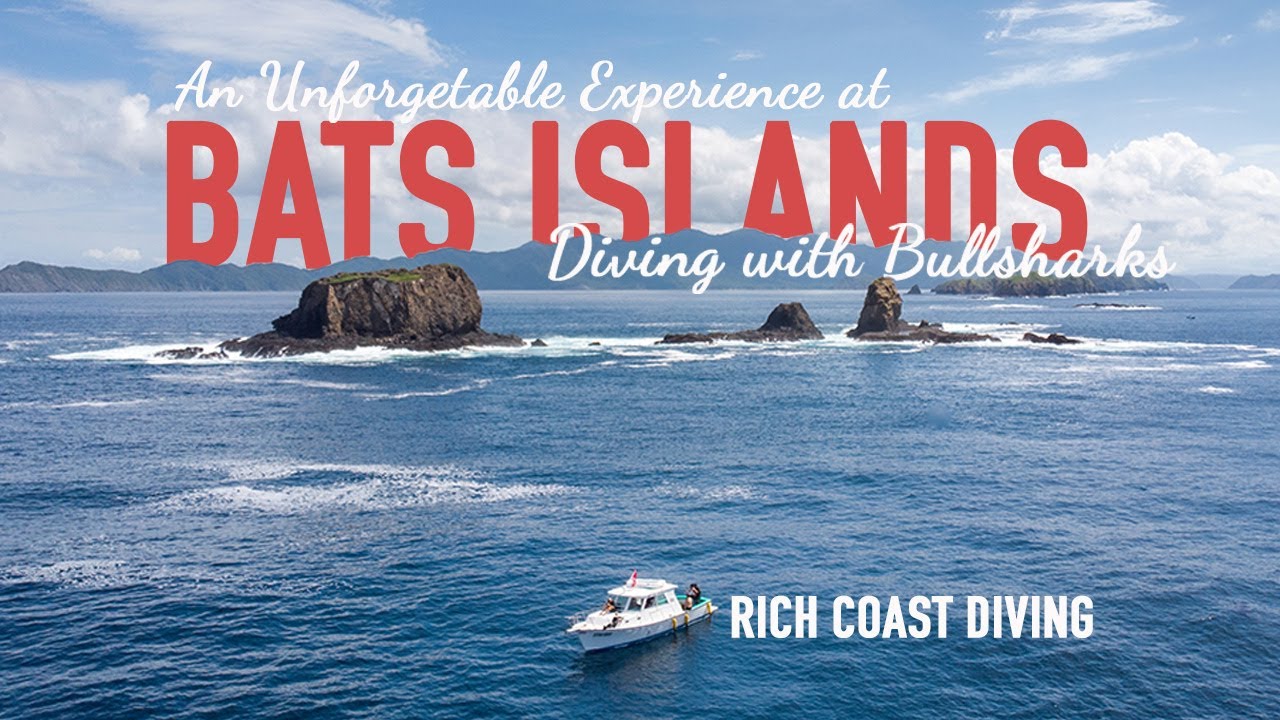 Diving with Bull Sharks in Costa Rica's Bats Islands | 4K
