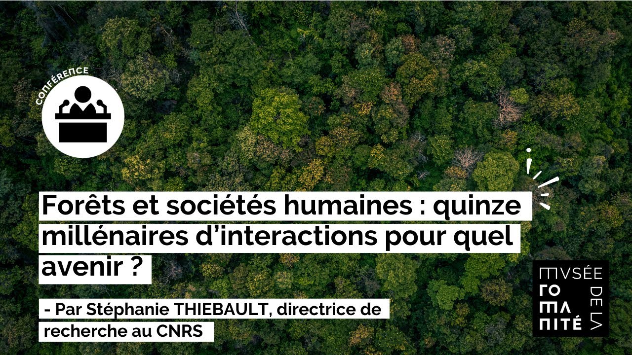 [ 🎤 CONFÉRENCE ] Forêts et sociétés humaines : quinze millénaires d’interactions pour quel avenir ?