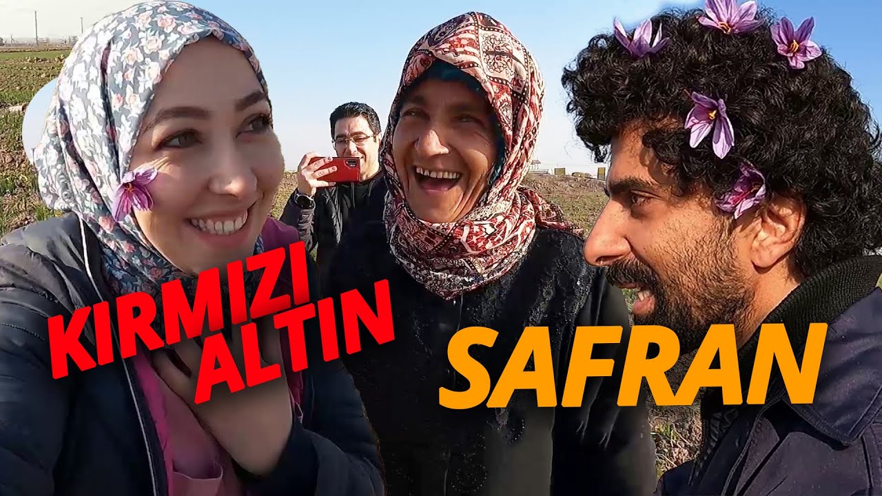 SAFRAN TARLALARI-İMAM GAZALİ'NİN KABRİ-FİRDEVSİ'NİN KABRİ-SHAJARIAN'NIN KABRİ