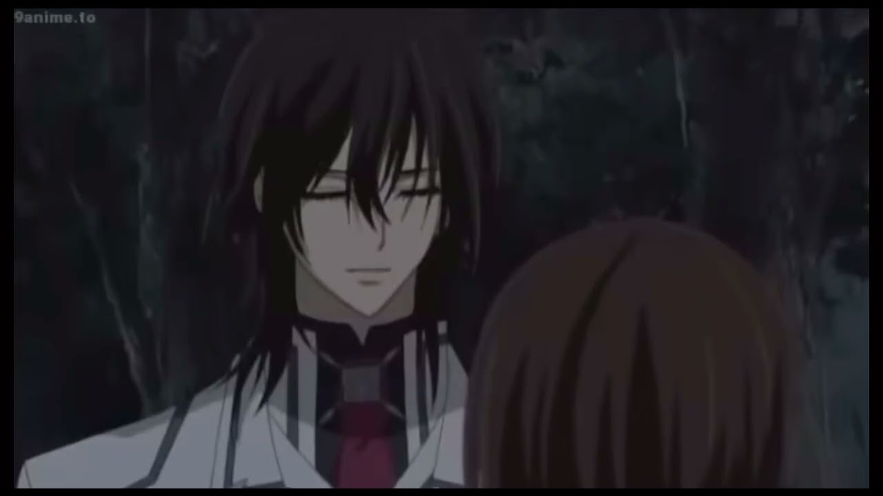 Take a hint (AMV) Vampire knight