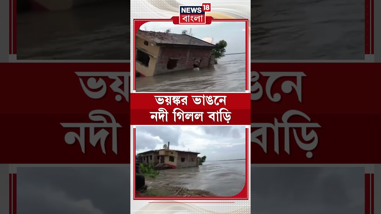 Bihar এর বেতিয়া জেলায় ভয়ঙ্কর ভাঙনে নদী গিলল বাড়ি #shorts