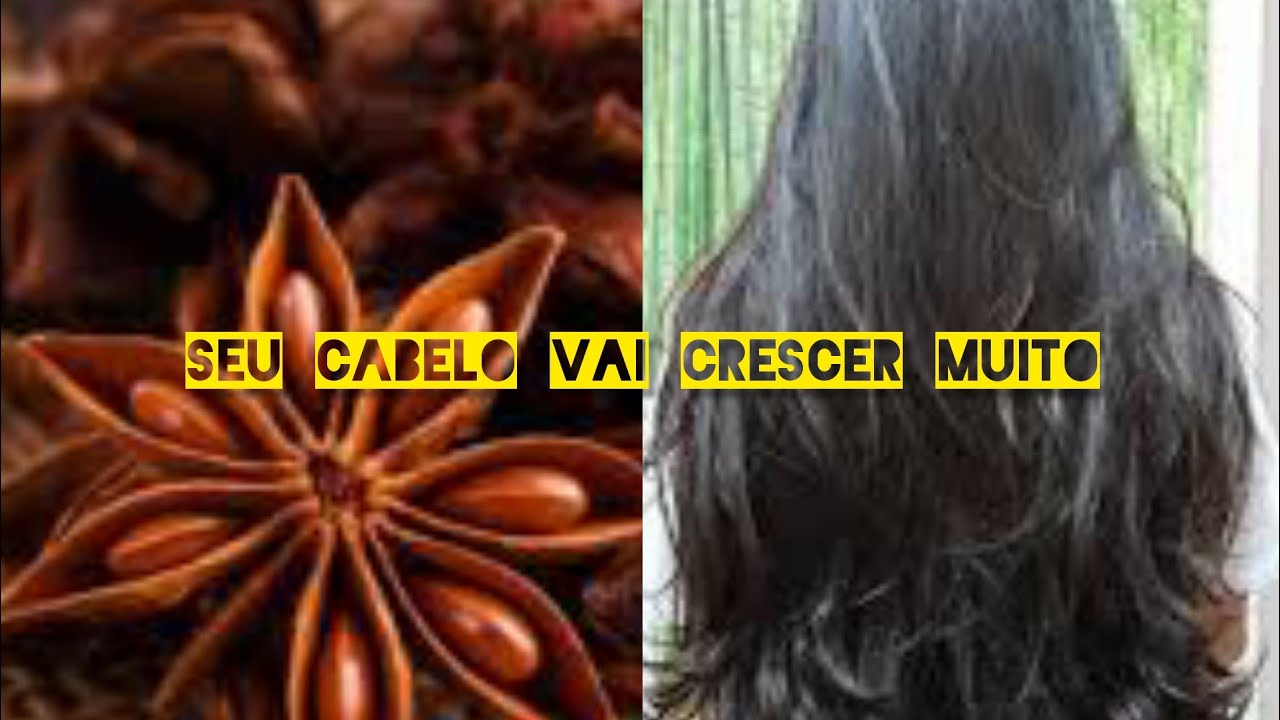 shampoo bomba anis estrelado