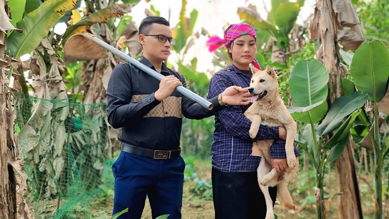 CEO Jack and Tien build a farm, a new life - Ly Tu Tien